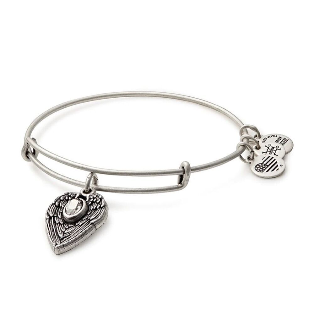 Alex and Ani Guardian charm bangle bracelet